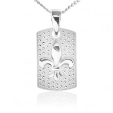Ogrlica iz srebra 925 - verižica in pravokotna ploščica, Fleur de Lis