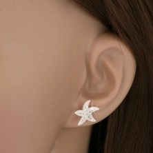 Vtični uhani iz srebra čistine 925 - zvezda s cirkoni