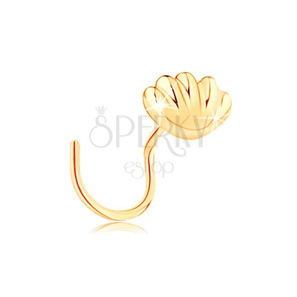 Zavit piercing za nos iz zlata 585 - sijoča morska školjka