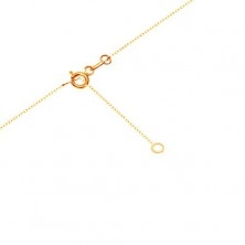Ogrlica iz 9-k zlata – tanka verižica, obris srca s krogi in prozornim cirkonom