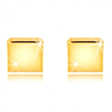 Uhani iz 9-k rumenega zlata – zrcalno sijoč kvadrat, čepki