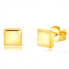 Uhani iz 9-k rumenega zlata – zrcalno sijoč kvadrat, čepki
